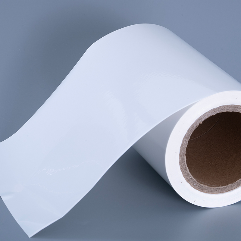 25mic lesklý PET vinylový filmový materiál štítků s akrylovým lepidlem Jumbo role pro inkoustový tisk