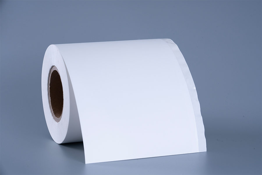 Štítek mražených potravin